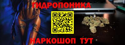 бутират Кингисепп