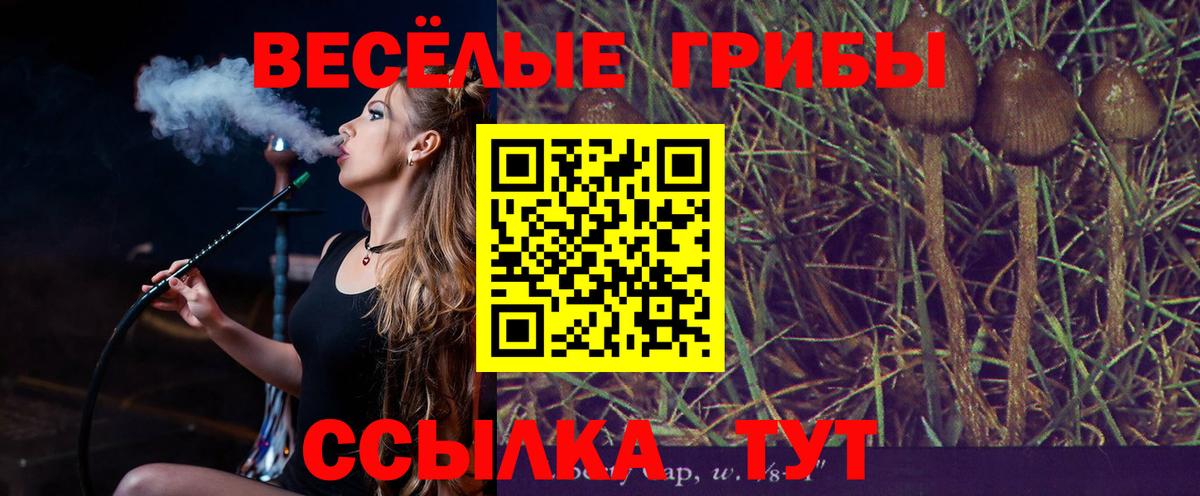 Галлюциногенные грибы прущие грибы  Галлюциногенные грибы Psilocybe  купить закладку  Кузнецк  Вход с VPN 