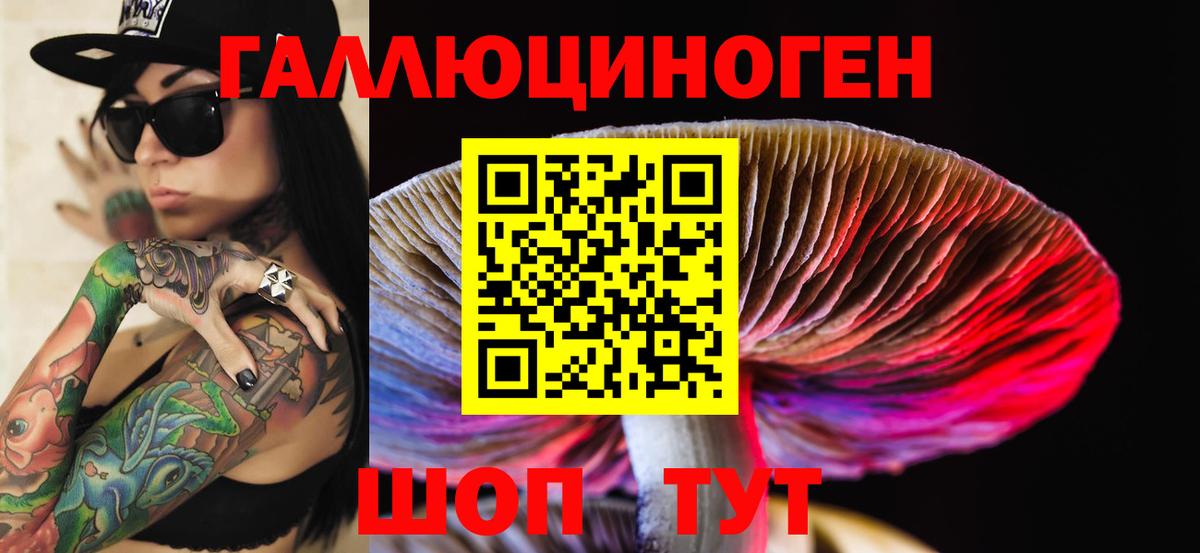 Галлюциногенные грибы Psilocybine cubensis Кузнецк